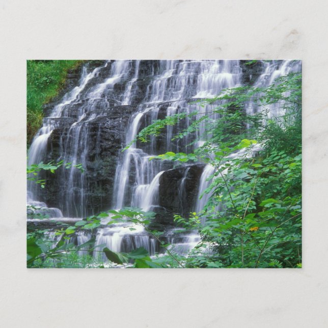 Cartão Postal Slatestone Brook Falls Sunderland (Frente)