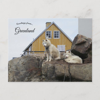 Cartão Postal Sled Dogs in Upernavik Greenland