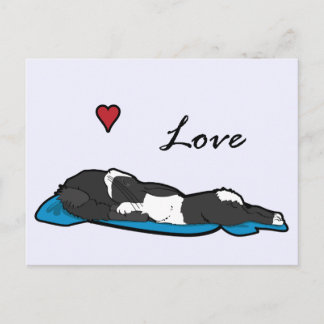 Cartão Postal Sleeping Bunneh