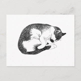 Cartão Postal Sleeping Cat – Gentle Reminder to Rest