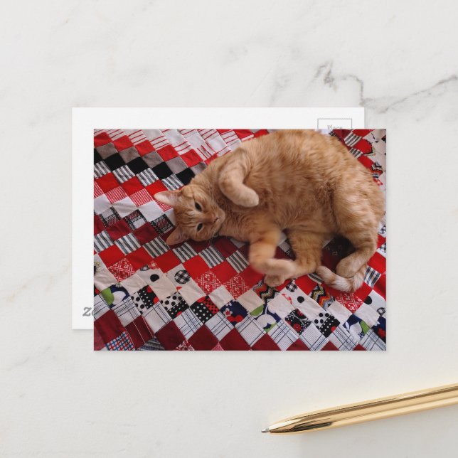 Cartão Postal Sleepy Ginger Kitty on a red quilt (Frente/Verso In Situ)