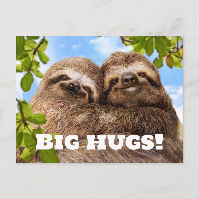 Cartão Postal Sloth Couple (Frente)