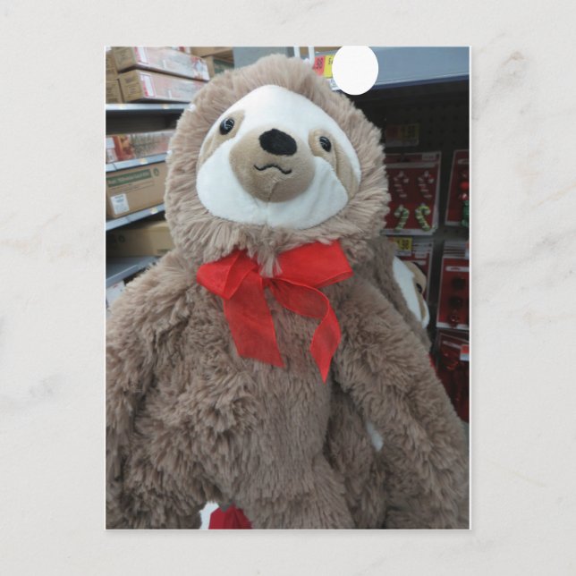 Cartão Postal Sloth de Natal (Frente)