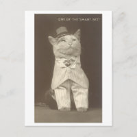 "Smart Set" Vintage Vestido Gato