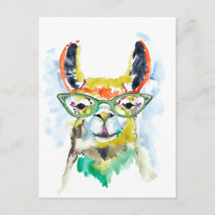 Cartão Postal Smarty Pants Llama