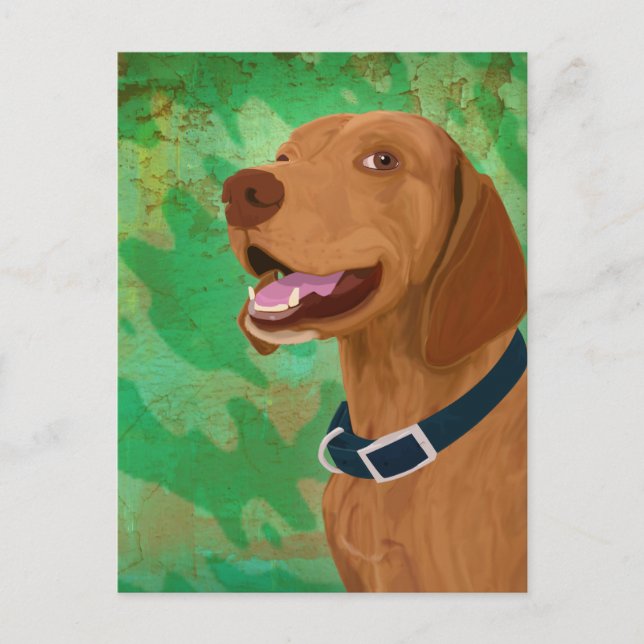 Cartão Postal Smiling Brown Vizsla em Fundo Verde (Frente)