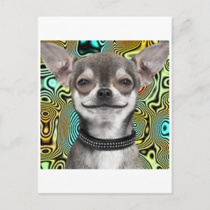 Cartão Postal Smiling Chihuahua Dog
