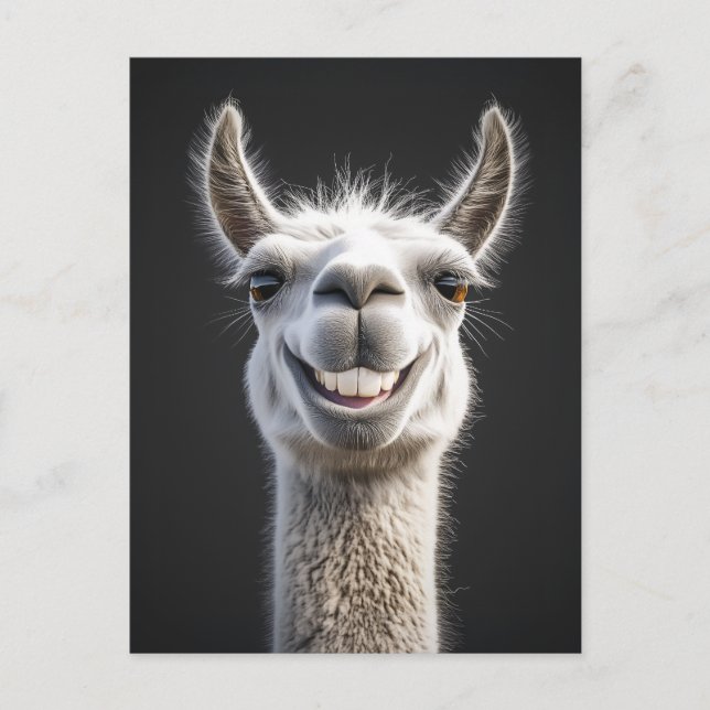 Cartão Postal Smiling Llama Close-up (Frente)