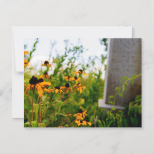 Cartão Postal Smith Cemetery Nature Preserve, Ohio