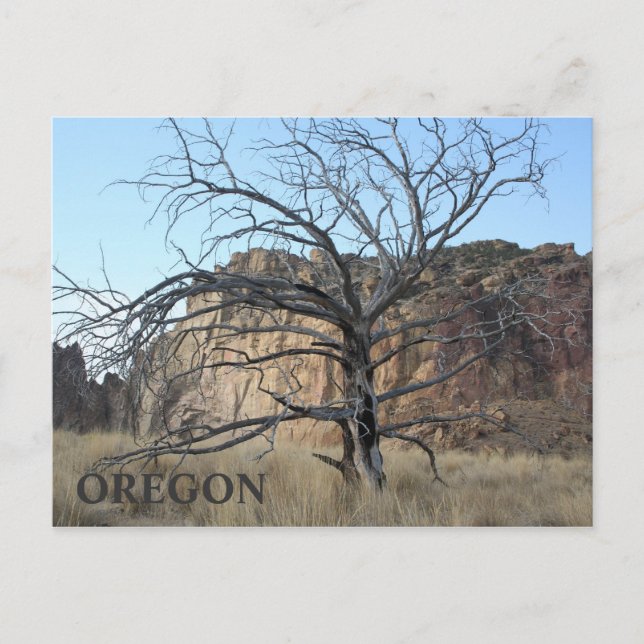 Cartão Postal Smith Rock Rocks (Frente)