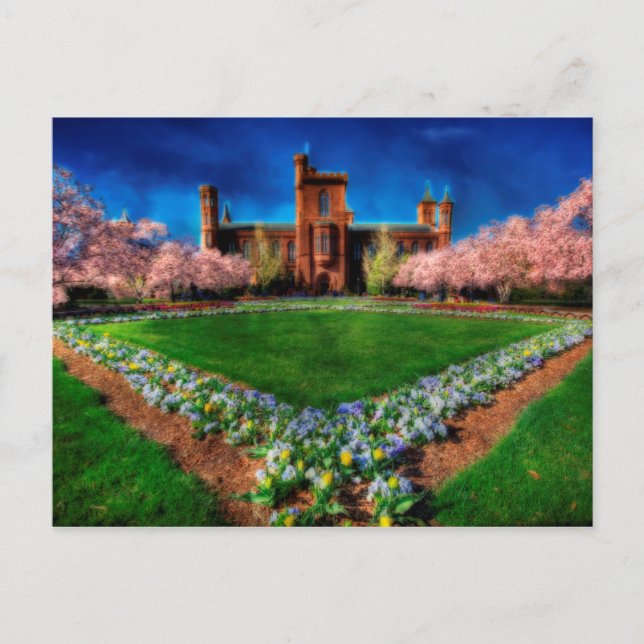 Cartão Postal Smithsonian Castle Cherry Blossoms (Frente)