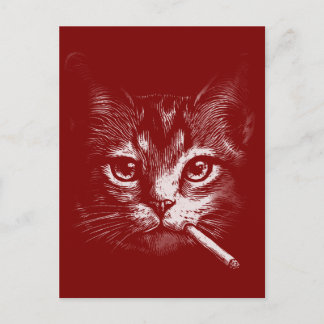 Cartão Postal Smoking Cat Funny 