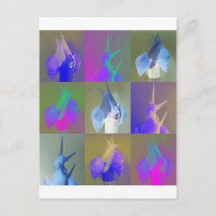 Cartão Postal Snail Pop Art