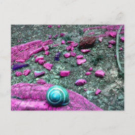 Cartão postal “SnailShell "
