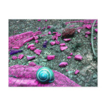 Cartão postal “SnailShell "