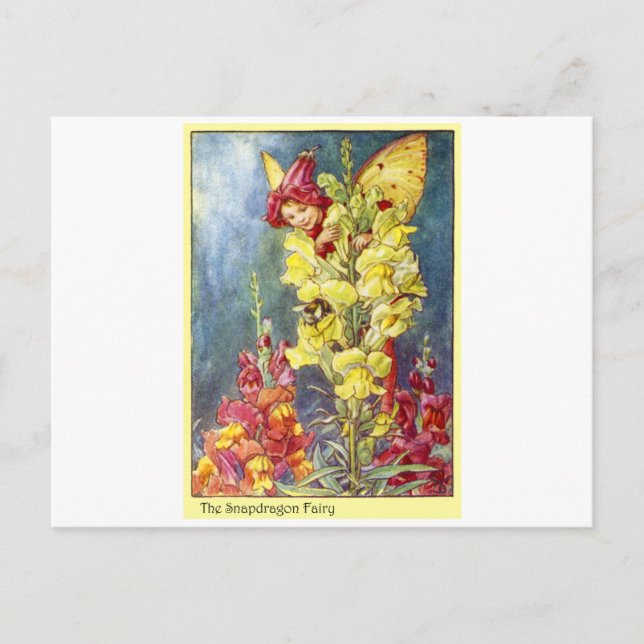 Cartão Postal Snapdragon Fairy (Frente)