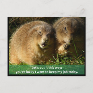 Cartão Postal: Snarky Prairie Dogs