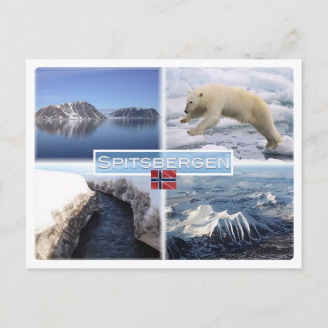 Cartão Postal SNO Spitsbergen - Svalbard - Fjord - Urso Polar - (Frente)