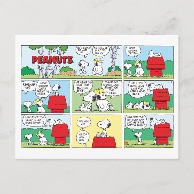 Cartão Postal Snoopy e seus irmãos Andy e Olaf (Frente)