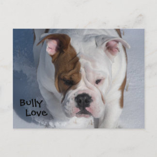 Cartão Postal Snow Bully 2 - Bulldog Inglês