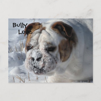Cartão Postal Snow Bully - Bulldog inglês