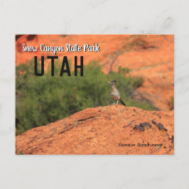 Cartão Postal Snow Canyon Roadrunner Utah