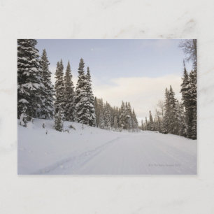 Cartão Postal Snow-covered landscape