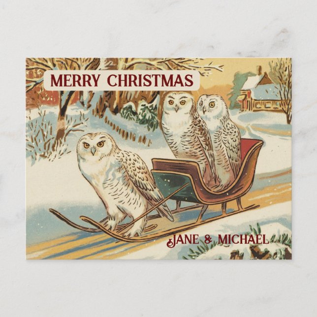 Cartão Postal Snow Owl - Feliz Nome de Natal (Frente)