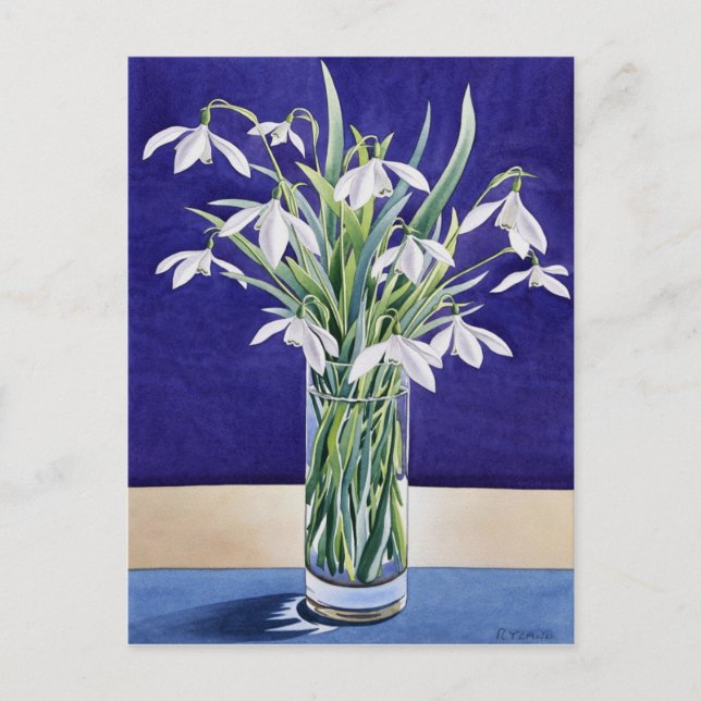 Cartão Postal Snowdrops (Frente)