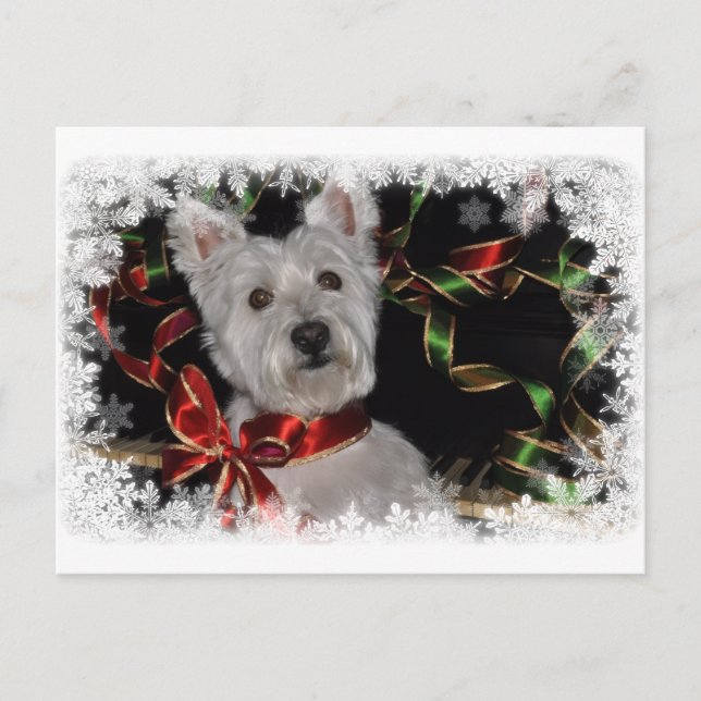 Cartão Postal Snowflake Westie (Frente)