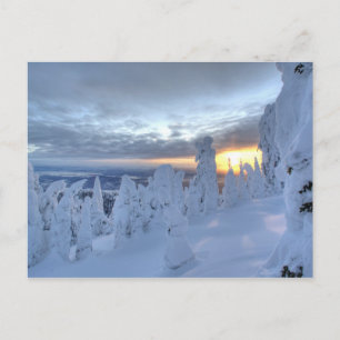 Cartão Postal Snowghosts at sunset at Whitefish Mountain