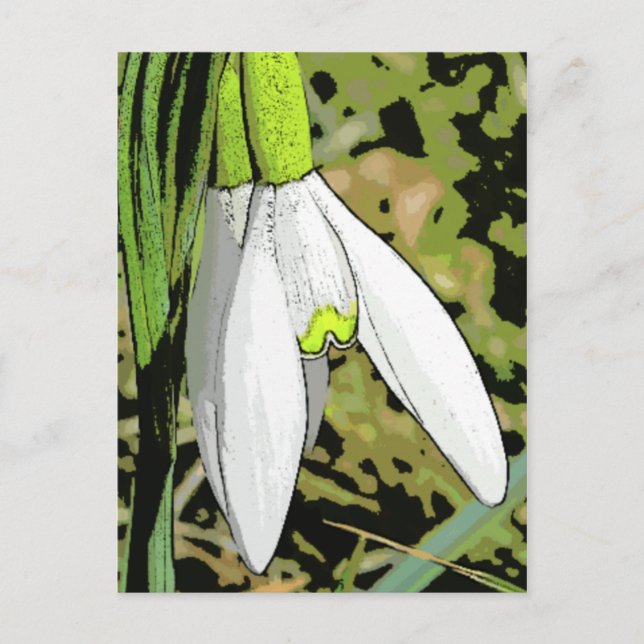 Cartão Postal Snowtoons (Frente)