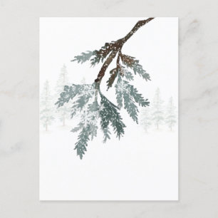 Cartão Postal Snowy Blue Spruce Branch Winter Woodland Scense