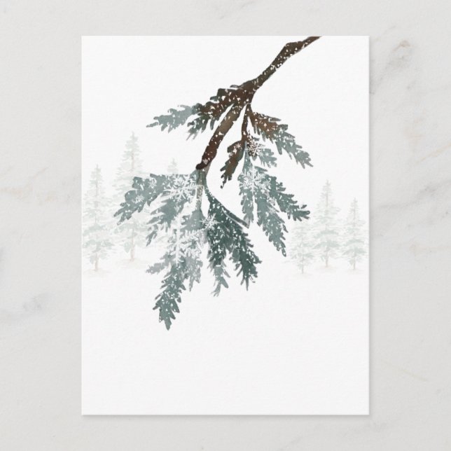 Cartão Postal Snowy Blue Spruce Branch Winter Woodland Scense (Frente)