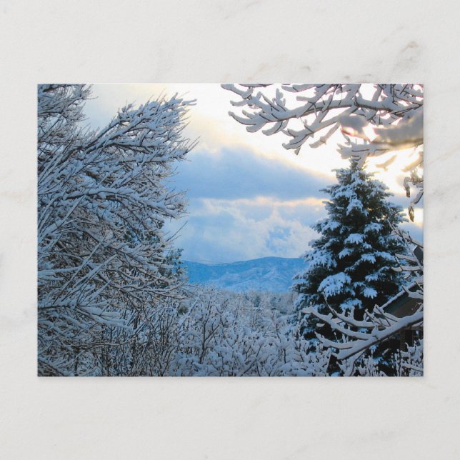 Cartão Postal Snowy Colorado (Frente)