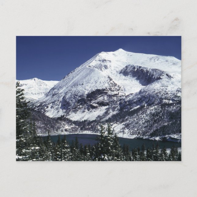 Cartão Postal Snowy Colorado Mountain Postcards (Frente)