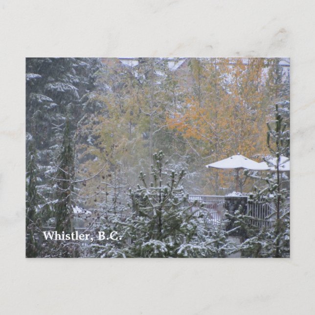 Cartão Postal Snowy Day in Whistler B.C. (Frente)