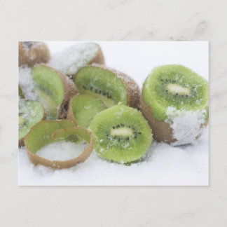 Cartão Postal Snowy Kiwi