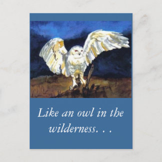 Cartão Postal Snowy Owl por Paula Atwell