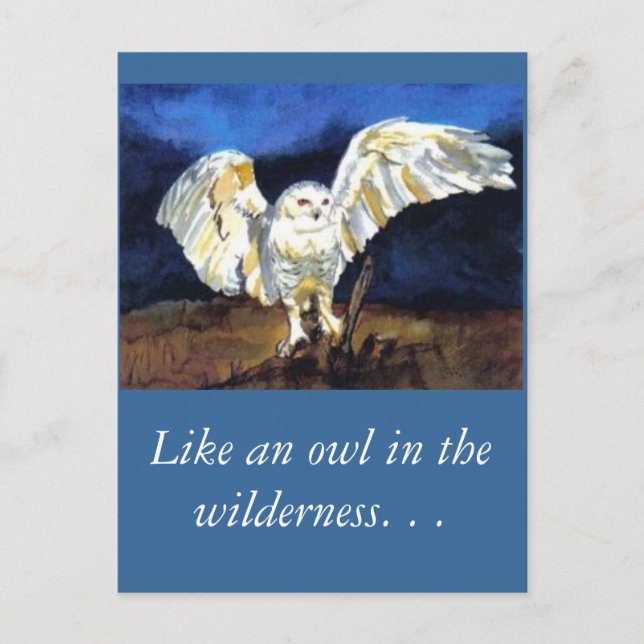 Cartão Postal Snowy Owl por Paula Atwell (Frente)