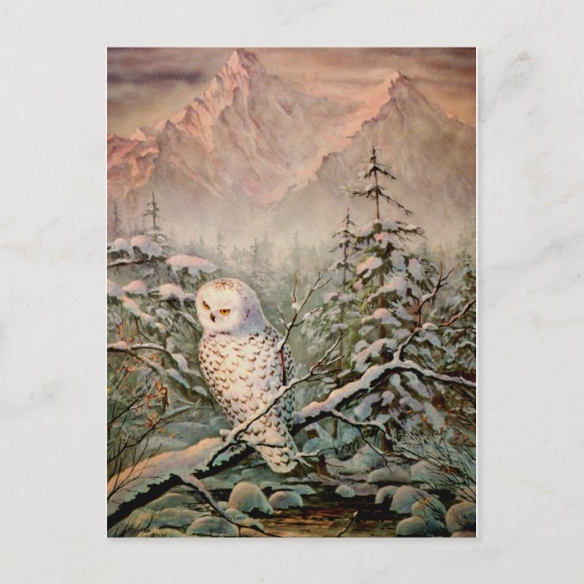 Cartão Postal SNOWY OWL por SHARON SHARPE (Frente)
