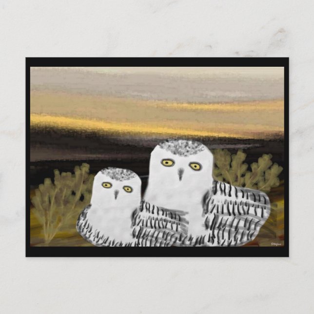 Cartão Postal Snowy Owl Sunrise (Frente)