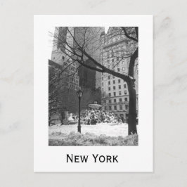 Cartão Postal Snowy Park em Nova Iorque