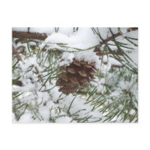Snowy Pine Cone I Winter Nature Photoshop