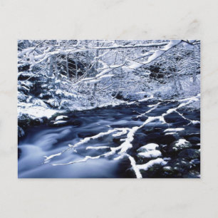Cartão Postal Snowy Stream -