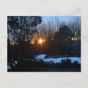 Cartão Postal Snowy Sunrise