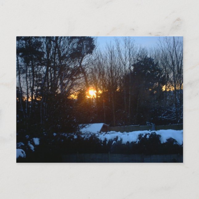 Cartão Postal Snowy Sunrise (Frente)