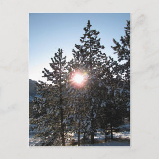 Cartão Postal Snowy sunrise no Colorado