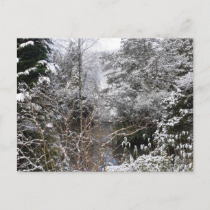 Cartão Postal Snowy Trees Flat