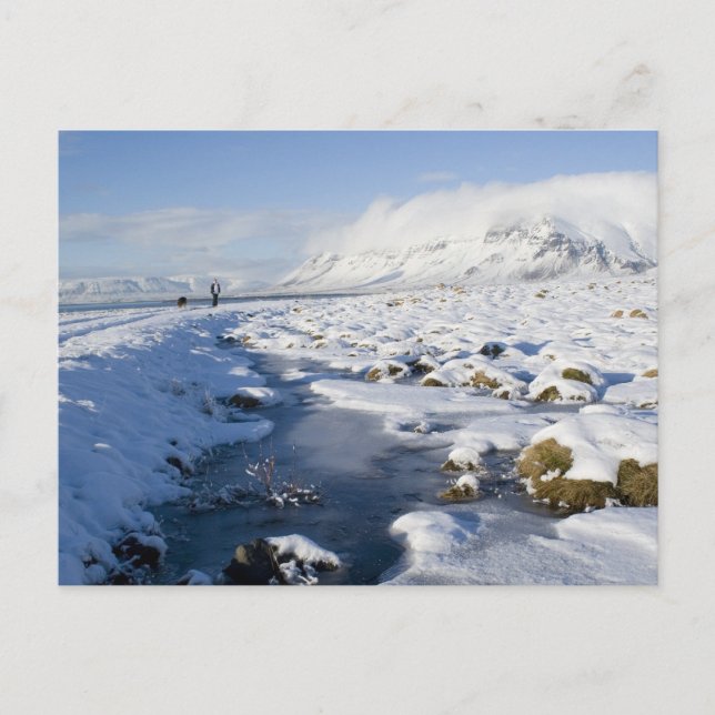 Cartão Postal Snowy Winterland (Frente)